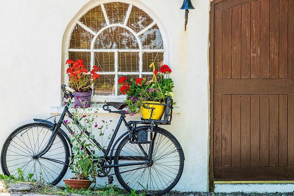 Jaynes Gallery 아티스트의 Europe-Ireland-County Cork-Bicycle next to house with potted plants작품입니다.